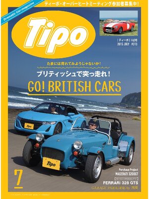 cover image of Tipo: 313号